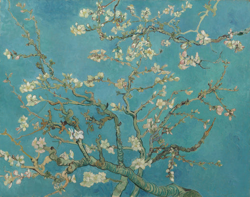 Almond Blossom (1890) - Vincent van Gogh - Fine Art Print