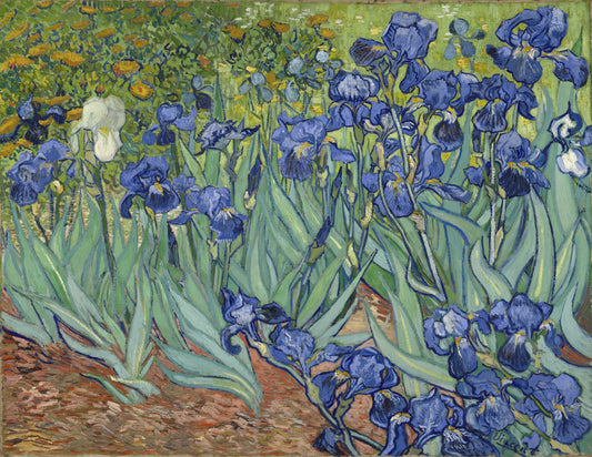 Irises (1889) - Vincent van Gogh - Fine Art Print